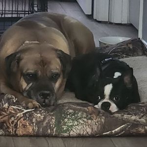 Meet your Posher, Herb